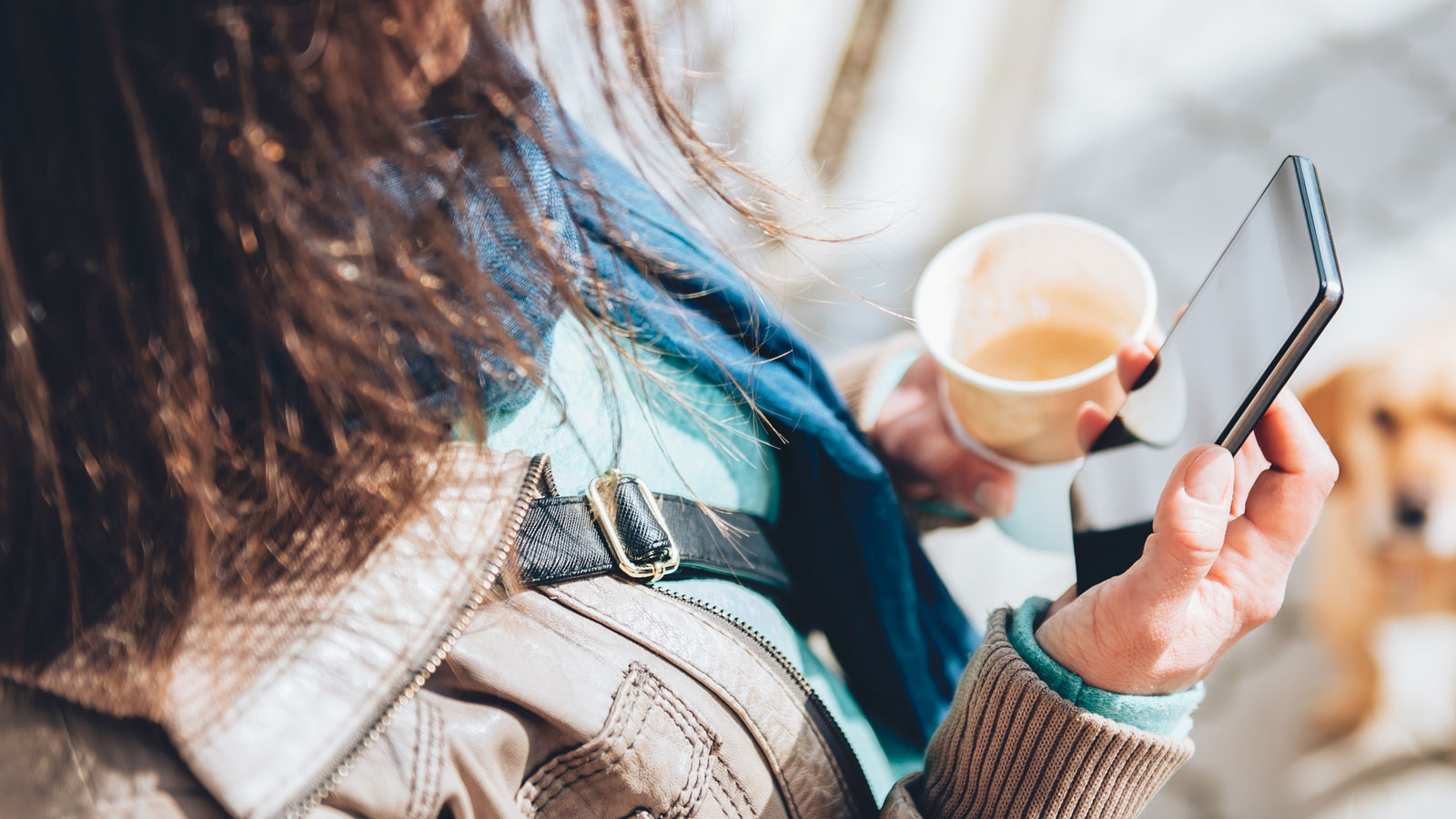 Anleitung für iPhone oder iPad Bücher lesen mit der iBooks App