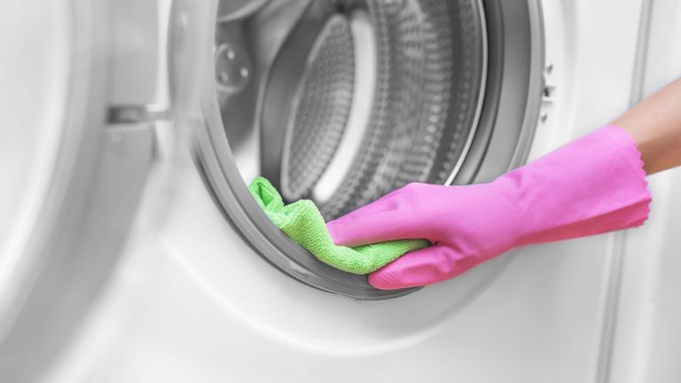 Gummidichtung der Waschmaschine richtig reinigen