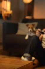 Google Wifi Zugangspunkt