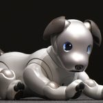 Roboterhund Aibo
