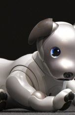 Roboterhund Aibo