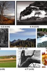 NIMA: Google stellt KI-Bildbewertung vor Durch Google NIMA bewertete Beispielbilder