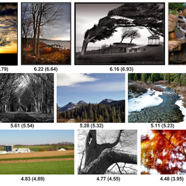 Durch Google NIMA bewertete Beispielbilder