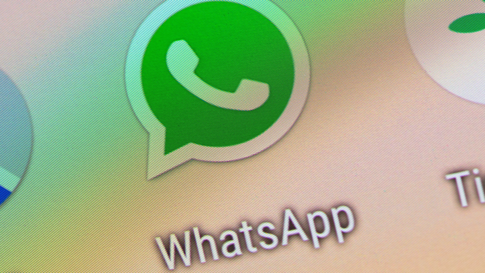 whatsapp spam bot python whatsapp spam bot python