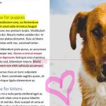Screenshot von Microsoft Word auf dem iPad