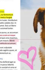 Screenshot von Microsoft Word auf dem iPad