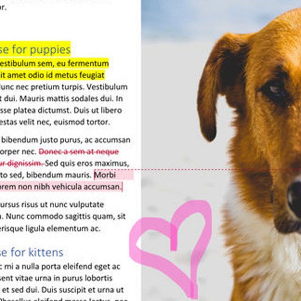 Screenshot von Microsoft Word auf dem iPad