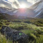 Vivo Super HDR Bergwiese