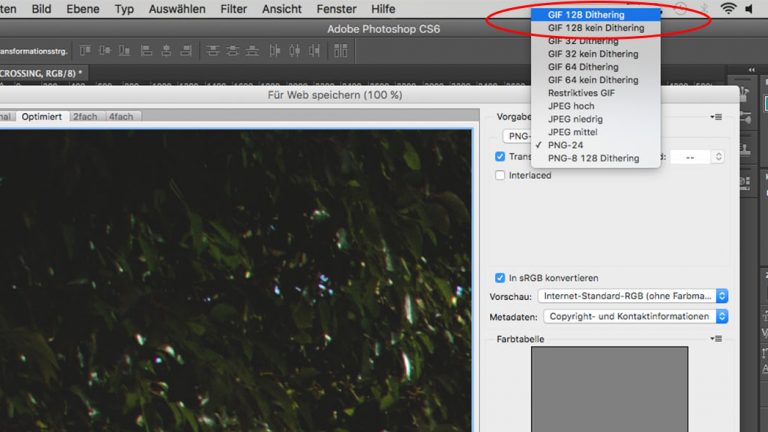 GIF auf dem richtigen Format speichern auf Photoshop
