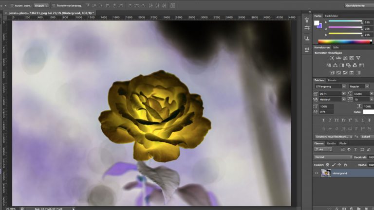 Photoshop Farbe umkehren Bild Negativ