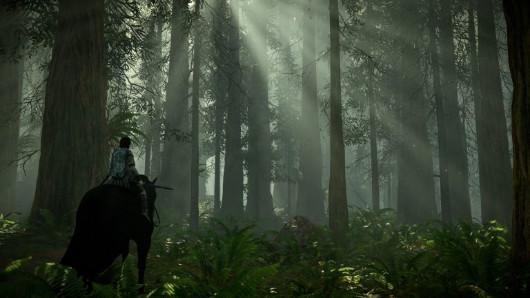 Screenshot vom Spiel Shadow Of The Colossus