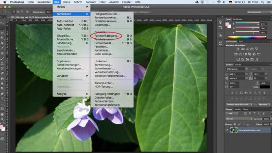 Monochromes Photoshop Schwarz Weisse Bilder Erstellen Updated