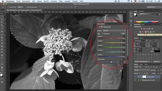 Monochromes Photoshop Schwarz Weisse Bilder Erstellen Updated