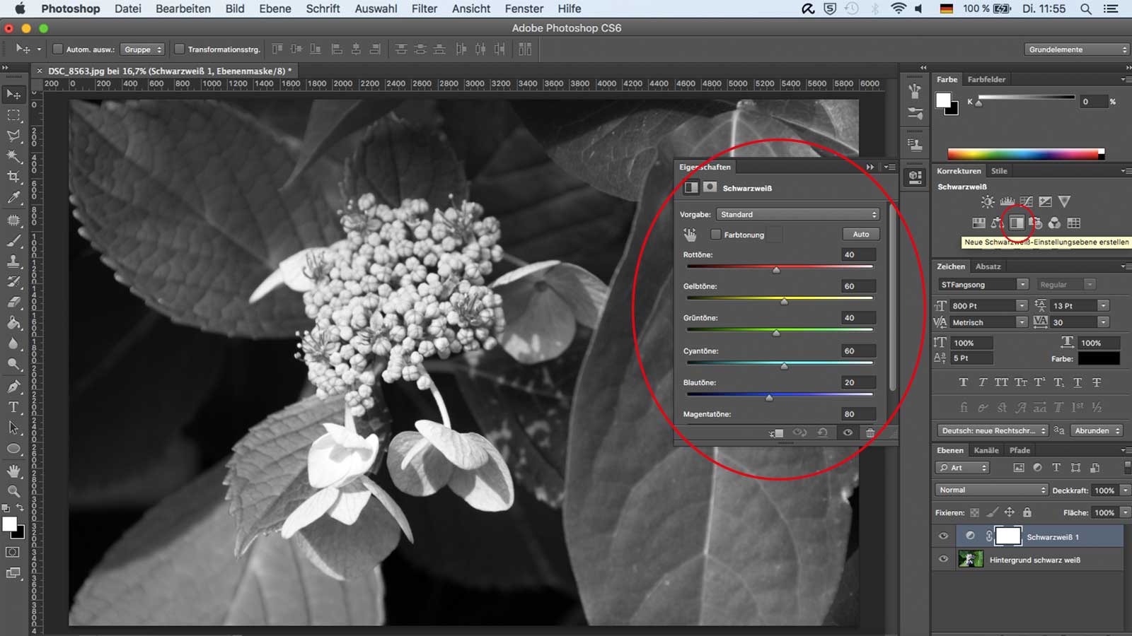 Monochromes Schwarzweiße Bilder erstellen UPDATED