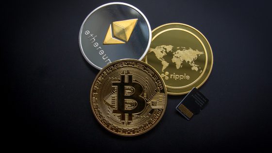 risiko einer investition in kryptowährung qtum bester kryptowährungs-handelsbot benutzerdefinierte bitcoin-handelsalgorithmen