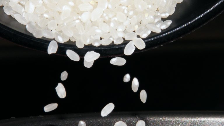 Japanischer Reis im Reiskocher