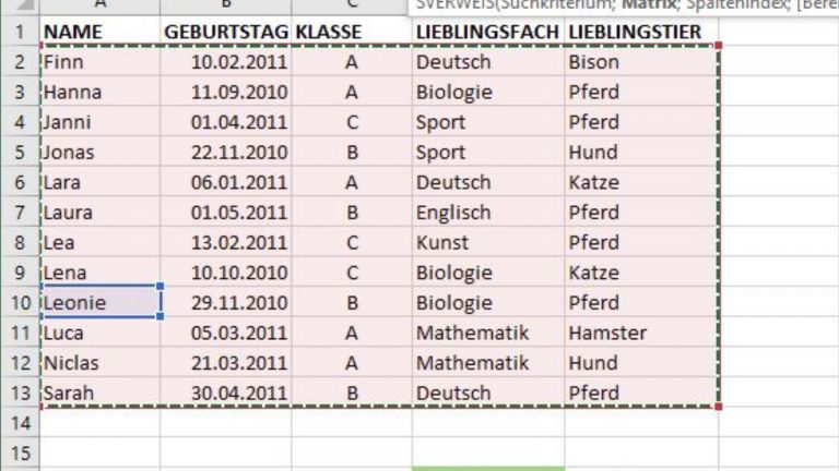 Excel SVERWEIS Schritt für Schritt Screenshot 5