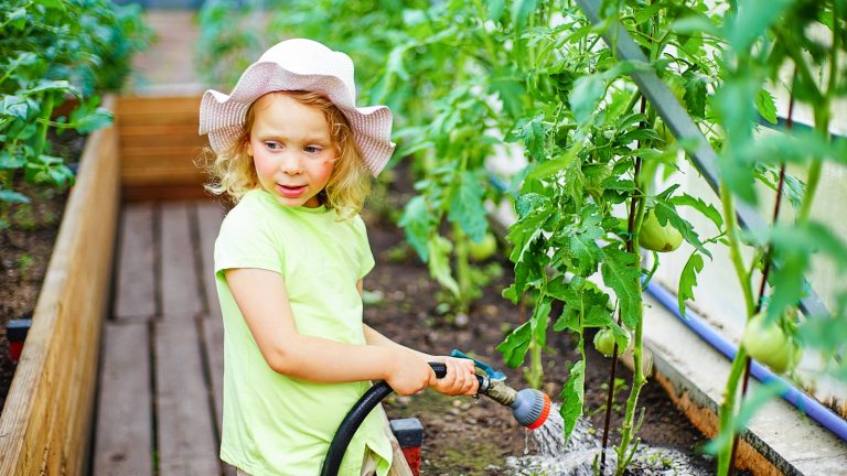M&auml;dchen bew&auml;ssert einen Gem&uuml;segarten mit Tomatenpflanzen