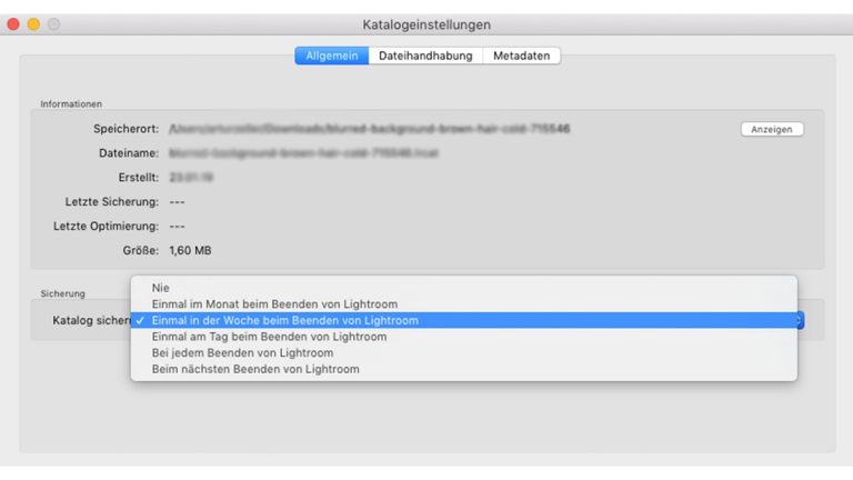 Lightroom Katalog: Katalogeinstellungen Lightroom-Katalog: Einstellungen anpassen