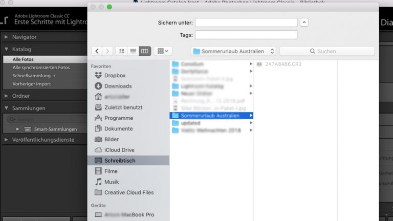 Lightroom Katalog speichern Lightroom-Katalog speichern