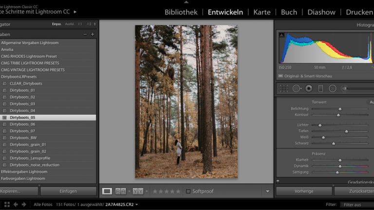 Lightroom: Presets anwenden Lightroom Preset anwenden