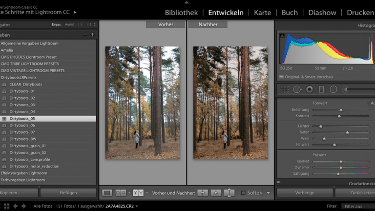 Lightroom Preset: Vorher-Nachher Lightroom: Vorher-Nachher-Vergleich
