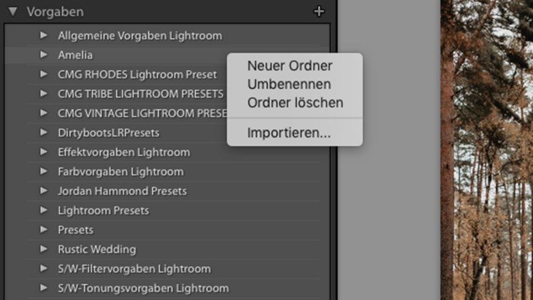 Lightroom Presets: Neuer Ordner Lightroom Preset importieren: Neuer Ordner