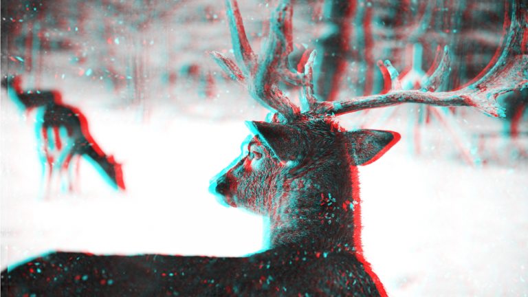 Foto von Hirsch mit Photoshop in ein einfaches 3D-Bild umwandeln