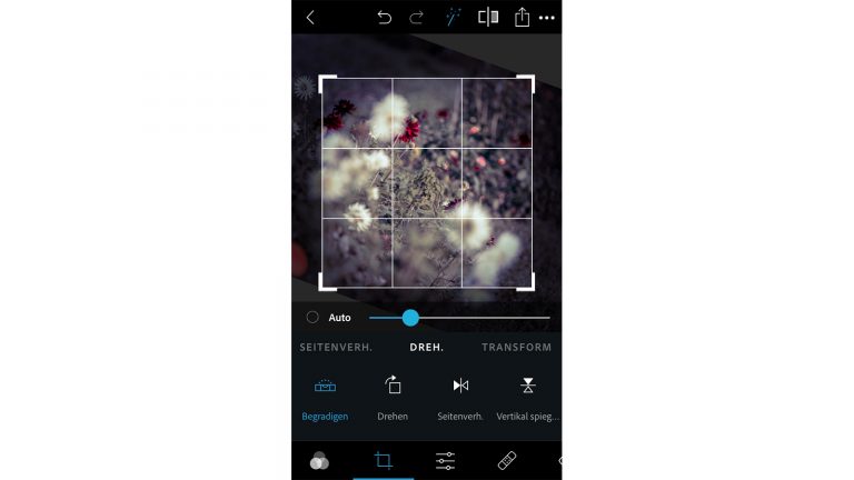 Photoshop Express: Automatische Anpassung Photoshop Express: Automatische Verbesserung