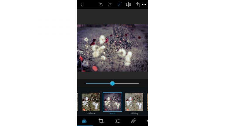 Photoshop Express: Eigenen Look erstellen Photoshop Express: Looks anwenden