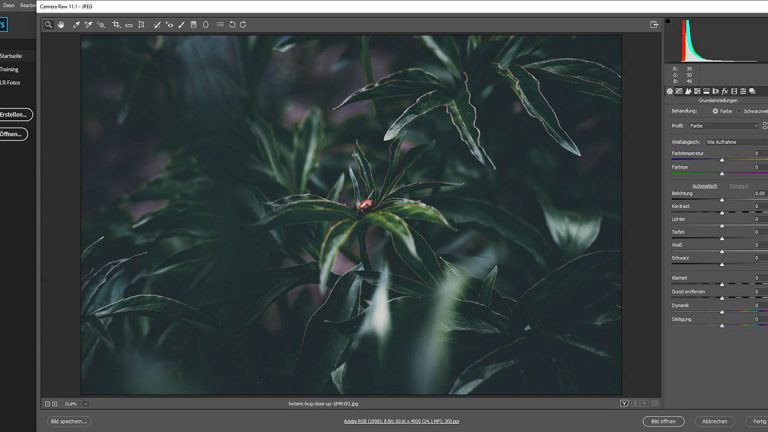 Bild im Camera Raw Modus von Photoshop öffnen
