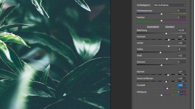 Bild heller machen: Camera Raw Modus bei Photoshop Camera Raw Modus bei Photoshop
