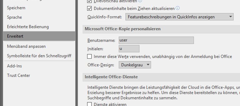 Flyer erstellen Optionen - Erweitert Word-Fenster Optionen, Erweitert