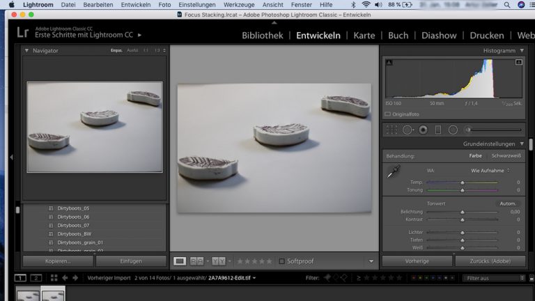 Focus Stacking: Lightroom - entwickeln