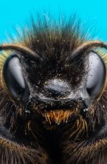 Focus Stacking: So bekommen deine Fotos mehr Tiefensch&auml;rfe