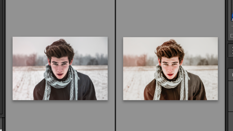 Lightroom: Preset nutzen