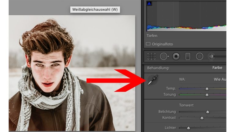 Lightroom Portrait: Weißabgleich Lightroom: Weißabgleichs-Pipetten-Werkzeug