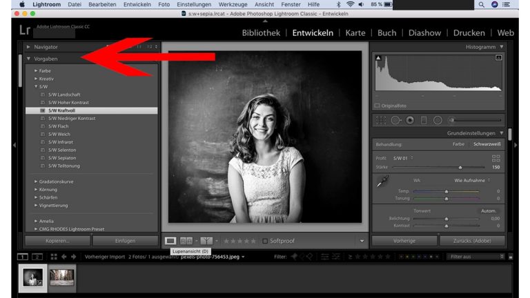 Lightroom Schwarz-Weiß: Preset Lightroom: Schwarz-Weiß-Preset verwenden