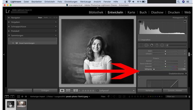 Lightroom Schwarz-Weiß: Sättigung Lightroom: Sättigung reduzieren für Schwarz-Weiß-Foto