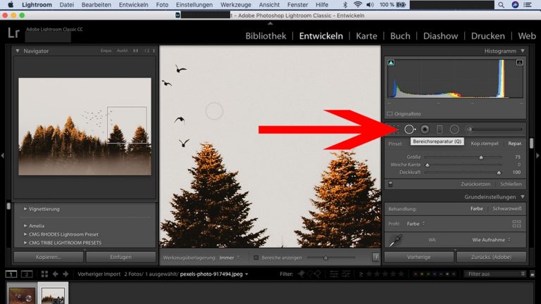 Lightroom-Workflow: Bereichsreparatur Lightroom-Workflow: Bereichsreparatur-Werkzeug
