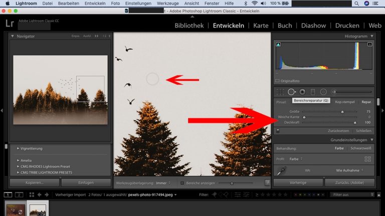 Lightroom-Workflow: Bereichsreparatur durchführen Lightroom-Workflow: Bereichsreparatur durchführen