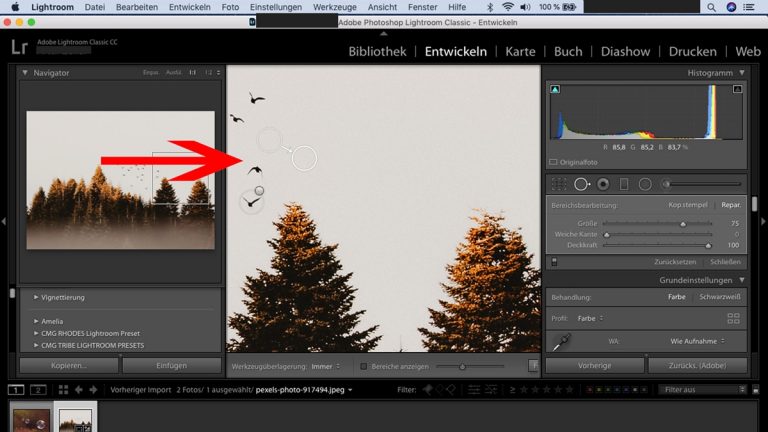 Lightroom-Workflow Bereichsreparatur: Weiterer Kreis Lightroom-Workflow: Bereichsreparatur