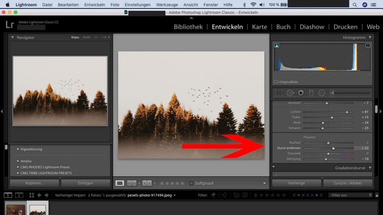 Lightroom-Workflow: Dunst entfernen