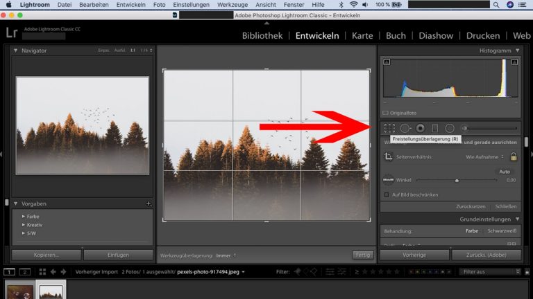 Lightroom-Workflow: Foto freistellen