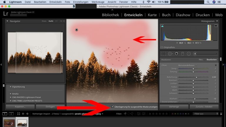 Lightroom-Workflow: Korrekturbereich Lightroom-Workflow: Korrekturbereich anzeigen lassen