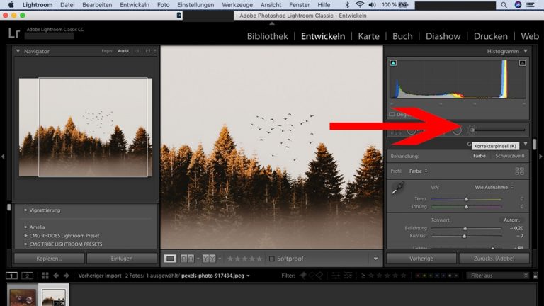 Lightroom-Workflow: Korrekturpinsel Lightroom-Workflow: Korrekturpinsel
