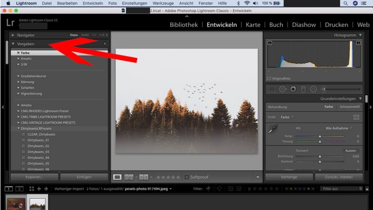 Lightroom-Workflow: Preset auswählen Lightroom-Workflow: Preset auswählen