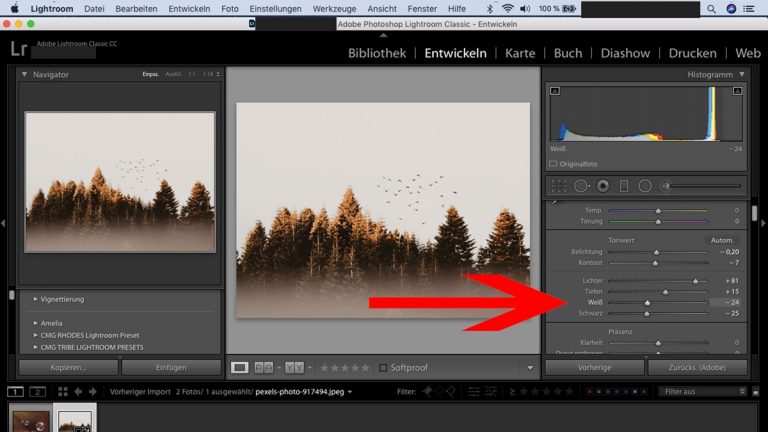 Lightroom-Workflow: Weiß Lightroom-Workflow: Weiß-Regler einstellen