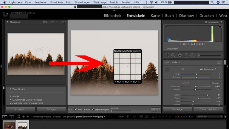 Lightroom-Workflow: Weißabgleich Zielfarbe Lightroom-Workflow: Weißabgleich durchführen
