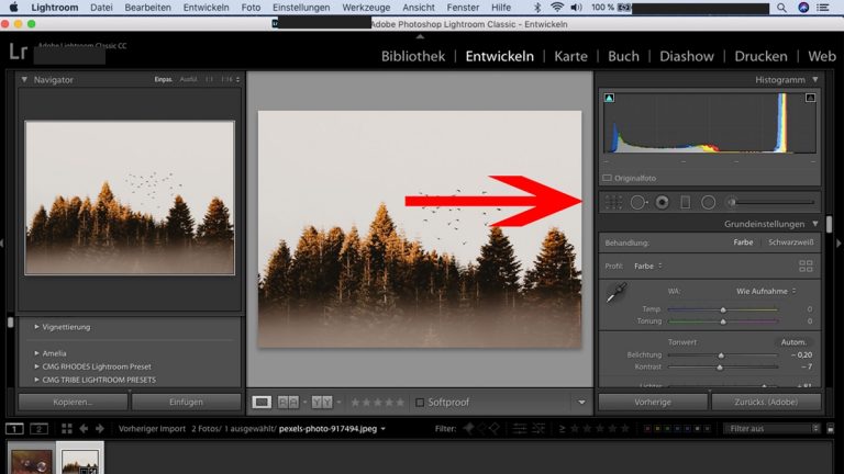 Lightroom-Workflow: Korrektur-Werkzeuge